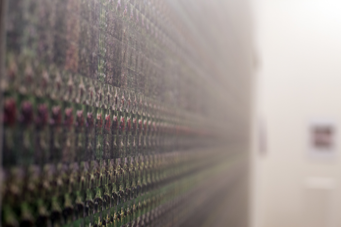 sensu lato :: im weiteren Sinne - Ausstellung