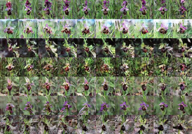 Rechnerisch generierte Bilder